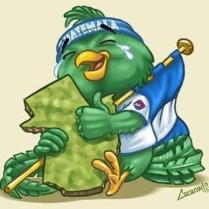 Meet your Posher, Erasmo jr.